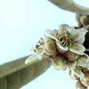 ヒメ日記 2025/02/06 19:47 投稿 吉田和歌子 五十路マダム 博多店