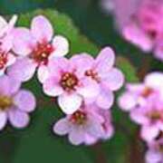 ヒメ日記 2025/02/18 22:37 投稿 吉田和歌子 五十路マダム 博多店