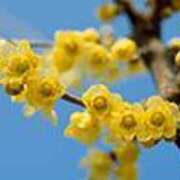 ヒメ日記 2025/03/01 00:07 投稿 吉田和歌子 五十路マダム 博多店