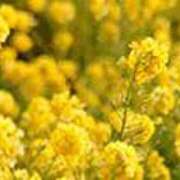 ヒメ日記 2025/03/04 03:37 投稿 吉田和歌子 五十路マダム 博多店