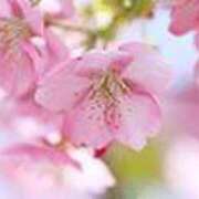 ヒメ日記 2025/03/11 22:37 投稿 吉田和歌子 五十路マダム 博多店