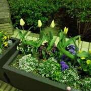 ヒメ日記 2025/04/03 13:57 投稿 吉田和歌子 五十路マダム 博多店