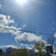 ヒメ日記 2025/04/15 14:25 投稿 吉田和歌子 五十路マダム 博多店