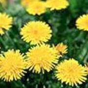 ヒメ日記 2025/04/15 22:38 投稿 吉田和歌子 五十路マダム 博多店