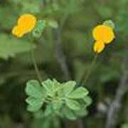 ヒメ日記 2025/04/29 16:33 投稿 吉田和歌子 五十路マダム 博多店