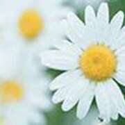 ヒメ日記 2025/05/01 17:07 投稿 吉田和歌子 五十路マダム 博多店