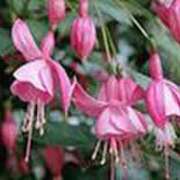 ヒメ日記 2025/05/14 19:07 投稿 吉田和歌子 五十路マダム 博多店