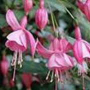 ヒメ日記 2025/05/14 19:27 投稿 吉田和歌子 五十路マダム 博多店