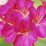 ヒメ日記 2025/05/16 19:09 投稿 吉田和歌子 五十路マダム 博多店