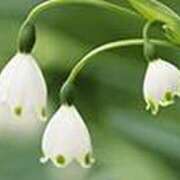 ヒメ日記 2025/05/21 18:47 投稿 吉田和歌子 五十路マダム 博多店