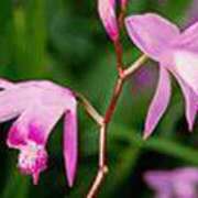 ヒメ日記 2025/06/06 00:17 投稿 吉田和歌子 五十路マダム 博多店