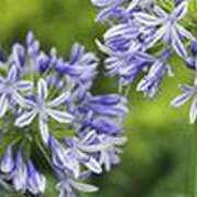 ヒメ日記 2025/06/26 00:47 投稿 吉田和歌子 五十路マダム 博多店