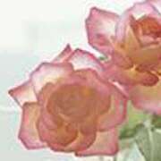 ヒメ日記 2025/07/03 22:47 投稿 吉田和歌子 五十路マダム 博多店