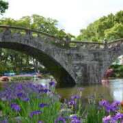 ヒメ日記 2025/07/15 18:38 投稿 吉田和歌子 五十路マダム 博多店