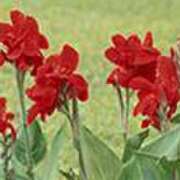 ヒメ日記 2025/07/15 18:45 投稿 吉田和歌子 五十路マダム 博多店