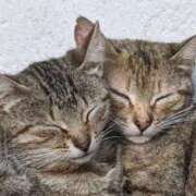 ヒメ日記 2025/07/17 22:58 投稿 吉田和歌子 五十路マダム 博多店