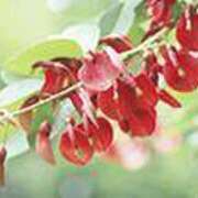 ヒメ日記 2025/07/17 23:07 投稿 吉田和歌子 五十路マダム 博多店