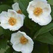 ヒメ日記 2025/07/22 17:59 投稿 吉田和歌子 五十路マダム 博多店