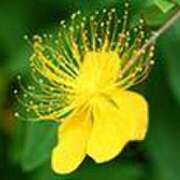 ヒメ日記 2025/07/31 19:17 投稿 吉田和歌子 五十路マダム 博多店