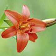 ヒメ日記 2025/08/01 21:07 投稿 吉田和歌子 五十路マダム 博多店