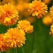 ヒメ日記 2025/10/02 19:17 投稿 吉田和歌子 五十路マダム 博多店