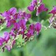 ヒメ日記 2025/10/08 00:47 投稿 吉田和歌子 五十路マダム 博多店