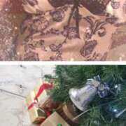 ヒメ日記 2025/11/19 14:07 投稿 吉田和歌子 五十路マダム 博多店