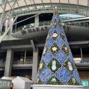 ヒメ日記 2025/12/08 14:17 投稿 吉田和歌子 五十路マダム 博多店