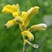 ヒメ日記 2025/12/08 17:27 投稿 吉田和歌子 五十路マダム 博多店