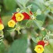 ヒメ日記 2025/12/30 17:27 投稿 吉田和歌子 五十路マダム 博多店