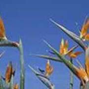 ヒメ日記 2026/01/03 23:57 投稿 吉田和歌子 五十路マダム 博多店