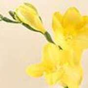 ヒメ日記 2026/02/01 19:07 投稿 吉田和歌子 五十路マダム 博多店