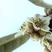 ヒメ日記 2026/02/06 21:17 投稿 吉田和歌子 五十路マダム 博多店