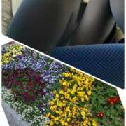 ヒメ日記 2026/02/15 13:57 投稿 吉田和歌子 五十路マダム 博多店