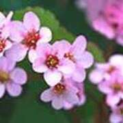 ヒメ日記 2026/02/20 18:57 投稿 吉田和歌子 五十路マダム 博多店