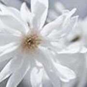 ヒメ日記 2026/02/22 03:07 投稿 吉田和歌子 五十路マダム 博多店