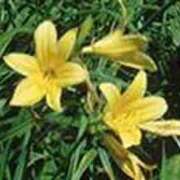 吉田和歌子 U様 ありがとうございましたm(__)m 五十路マダム 博多店