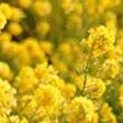 ヒメ日記 2026/03/03 22:17 投稿 吉田和歌子 五十路マダム 博多店