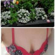 ヒメ日記 2026/03/23 10:07 投稿 吉田和歌子 五十路マダム 博多店