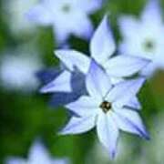 ヒメ日記 2026/04/04 17:37 投稿 吉田和歌子 五十路マダム 博多店