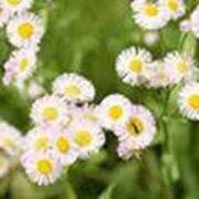 吉田和歌子 K様 ありがとうございましたm(__)m 五十路マダム 博多店