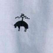 ヒメ日記 2026/04/16 18:17 投稿 吉田和歌子 五十路マダム 博多店