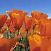 ヒメ日記 2026/04/19 18:47 投稿 吉田和歌子 五十路マダム 博多店