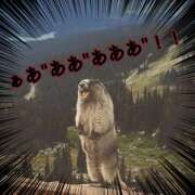 ヒメ日記 2026/03/21 19:50 投稿 V☆めい リンカーン宇部本店