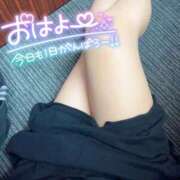 ヒメ日記 2025/04/03 10:15 投稿 るい 池袋人妻ヒットパレード（シンデレラグループ）