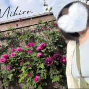 ヒメ日記 2025/05/02 00:31 投稿 みひろ 池袋人妻ヒットパレード（シンデレラグループ）