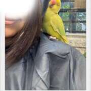 ヒメ日記 2026/01/20 22:42 投稿 みひろ 池袋人妻ヒットパレード（シンデレラグループ）