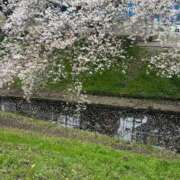 ヒメ日記 2026/04/06 11:27 投稿 みひろ 池袋人妻ヒットパレード（シンデレラグループ）