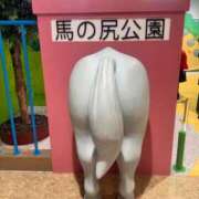 ヒメ日記 2026/05/21 11:24 投稿 みひろ 池袋人妻ヒットパレード（シンデレラグループ）