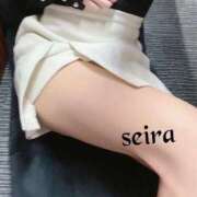 ヒメ日記 2024/12/13 12:14 投稿 せいら 池袋人妻ヒットパレード（シンデレラグループ）